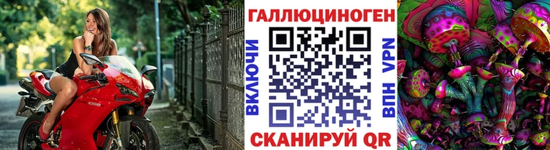Галлюциногенные грибы MAGIC MUSHROOMS  где найти   Неман 